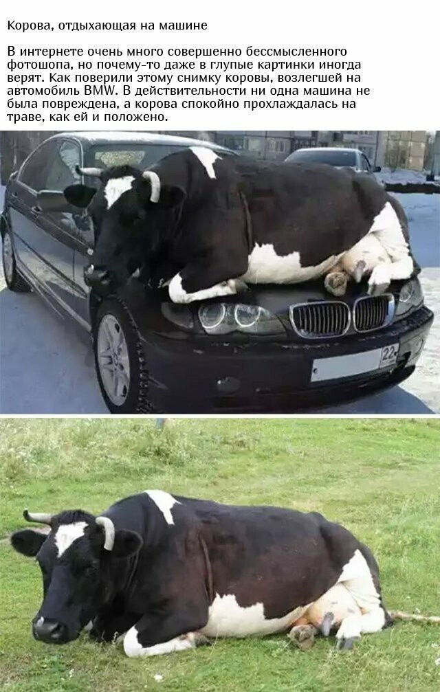 Разоблачение некоторых фотографий