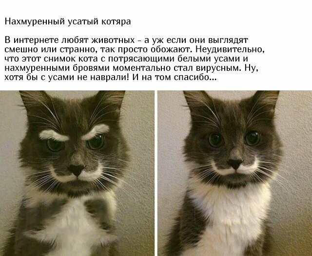 Разоблачение некоторых фотографий