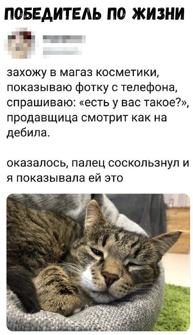 Скриншоты из социальных сетей