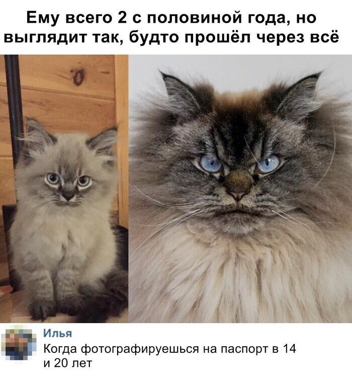 Скриншоты из социальных сетей