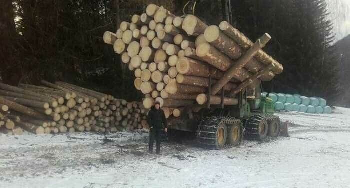 Для утреннего настроения