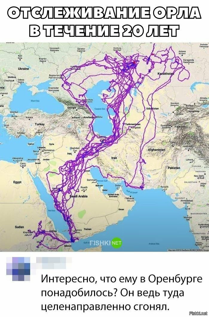 Что он делал в Оренбурге