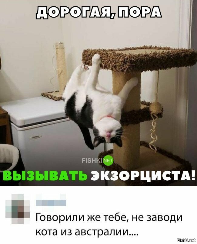 Вызывайте экзорциста