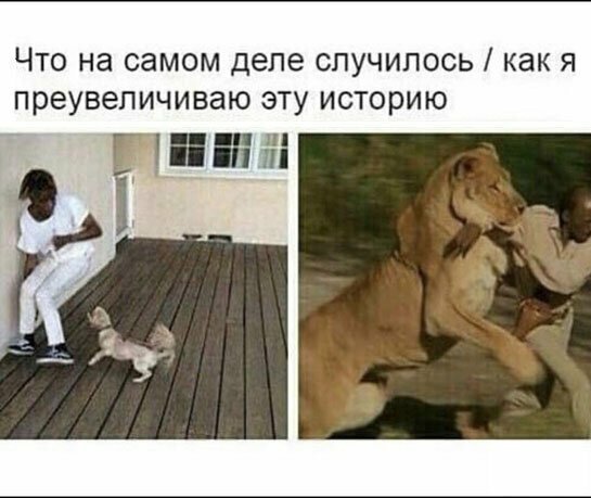 Прикольные и смешные картинки