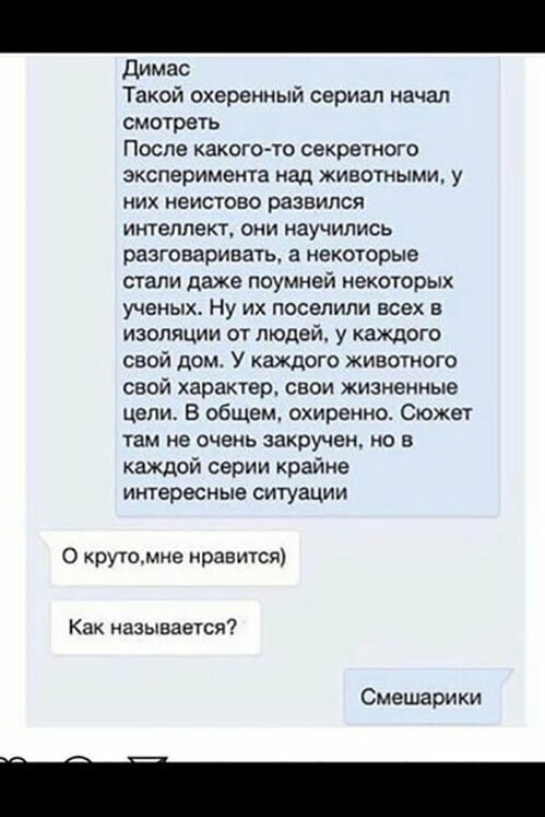 Прикольные и смешные картинки