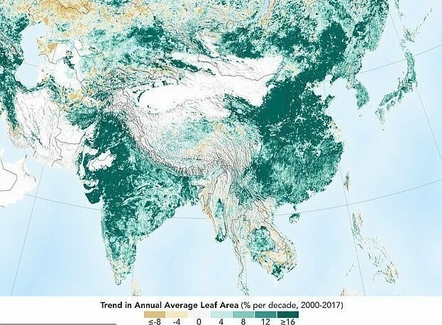 Планета зеленеет стараниями Китая и Индии
