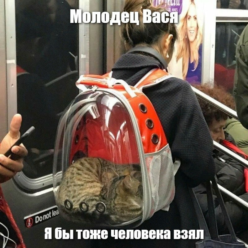 Молодец Вася