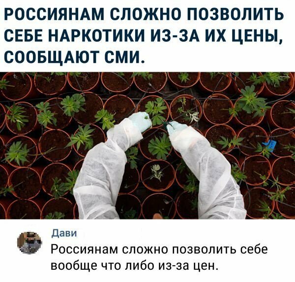 Прикольные и смешные картинки