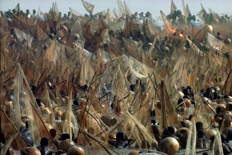 Рыболовный праздник Аргунгу на реке Сокото. Нигерия, 1977