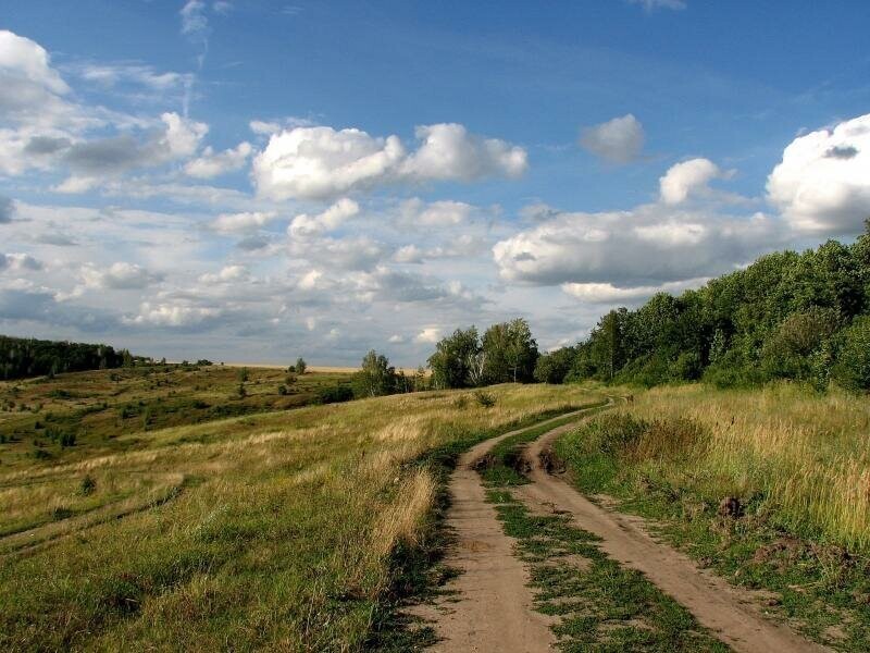 Красота сельских дорог