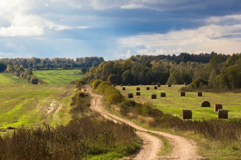 Красота сельских дорог