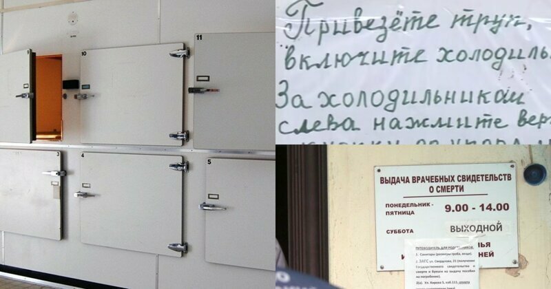 "Привезете труп - включите холодильник!": в морге Биробиджана ввели самообслуживание