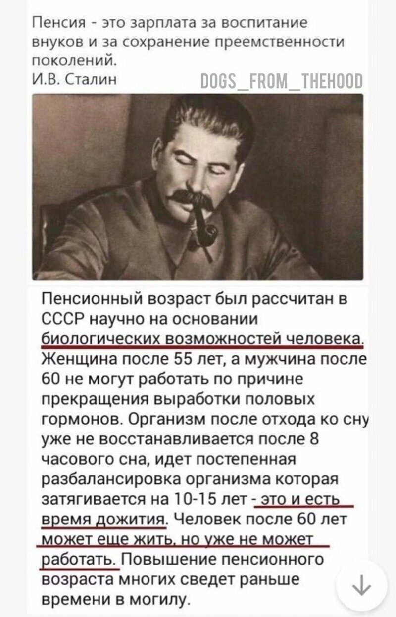 Пенсия - это зарплата за воспитание внуков и за сохранение преемственности поколений