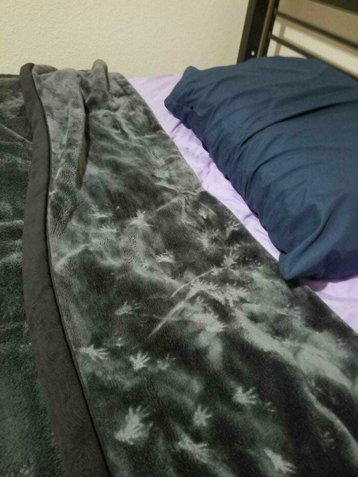 "Мой друг пошел спать в свою комнату и нашел отпечатки грызунов на одеяле"
