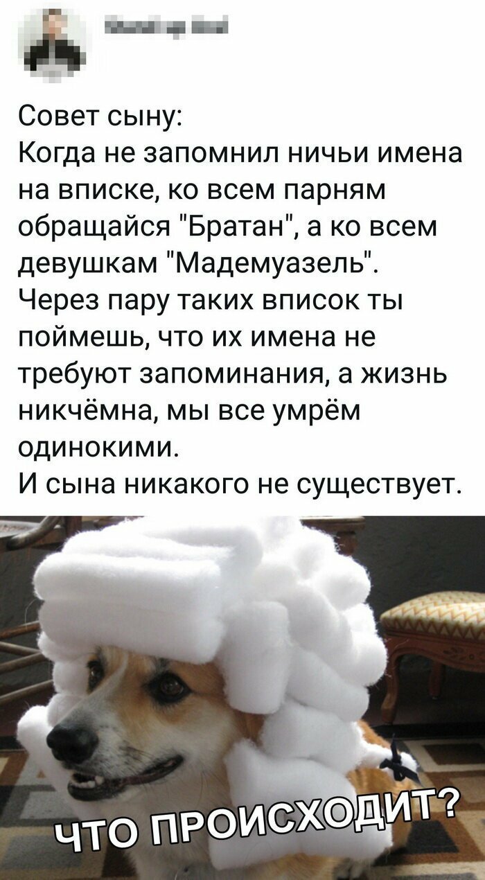 Скриншоты из социальных сетей