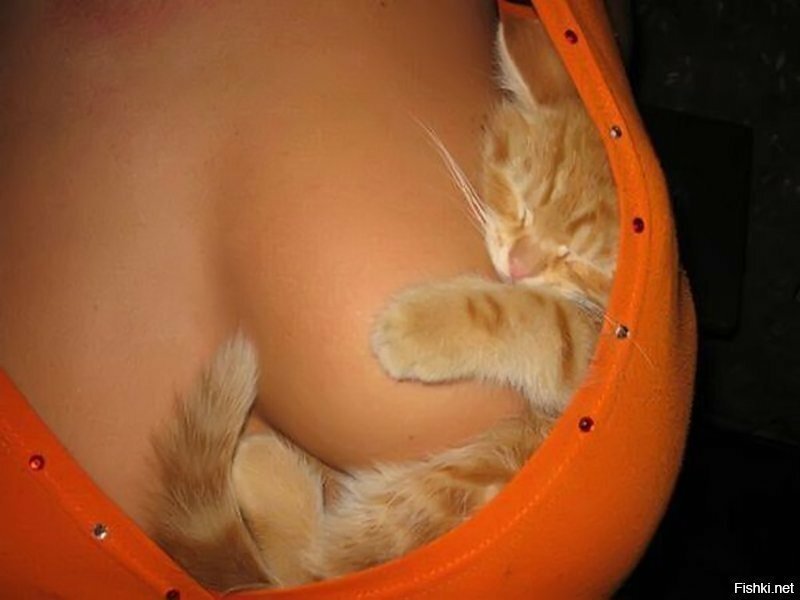 Доброго утра