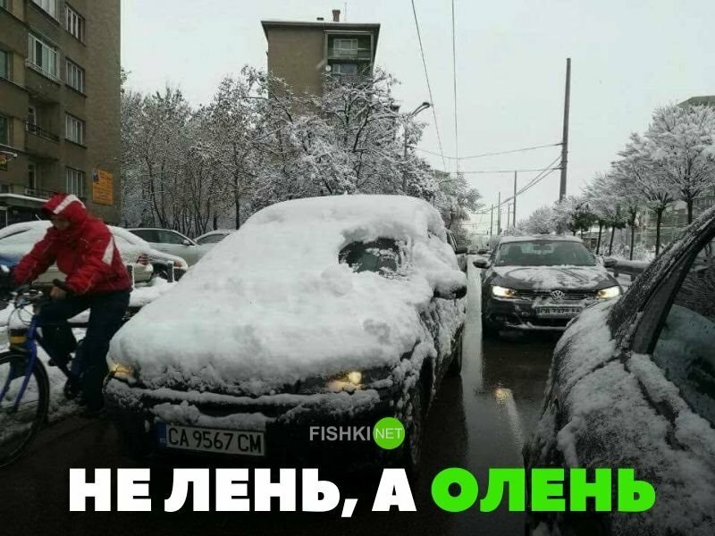 Не лень, а олень