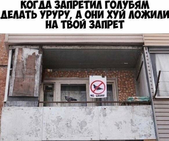 Прикольные и смешные картинки