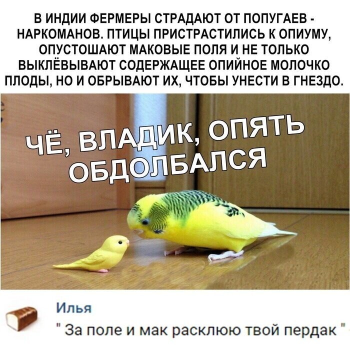 Скриншоты из социальных сетей