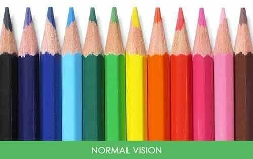 Нормальное зрение — так видят цвета люди с нормальным зрением.