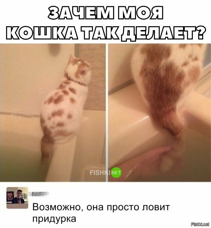 Зачем она так делает