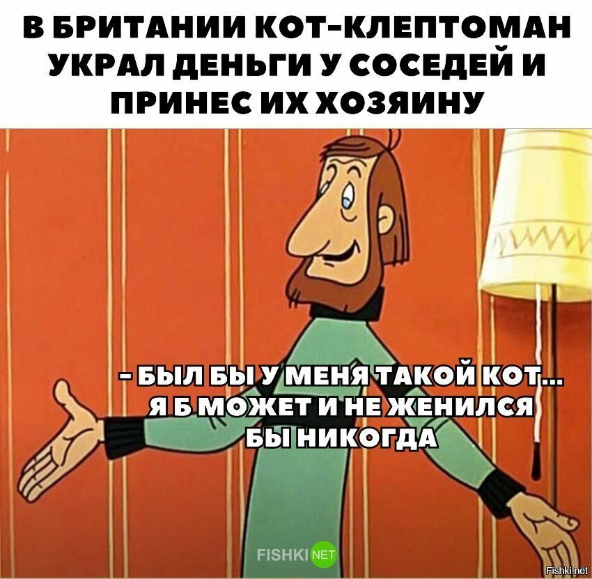 Мне нужен такой кот