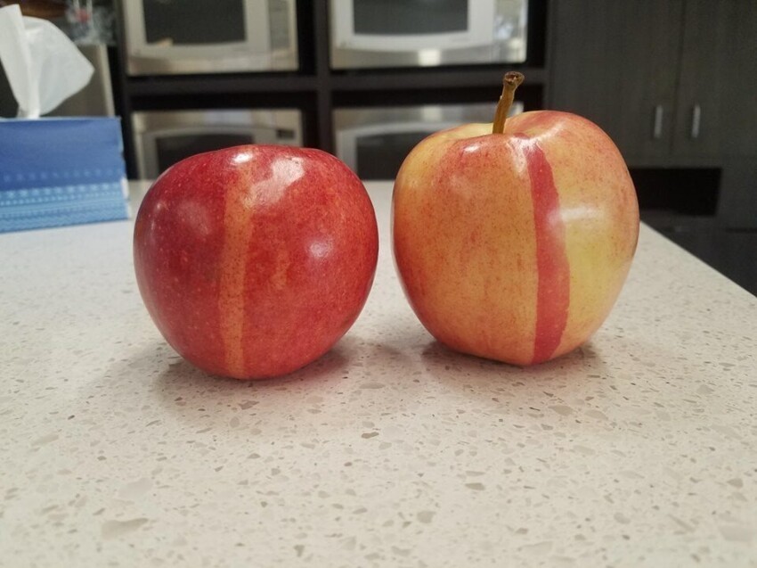 2. Два этих яблока взяли по чуть-чуть друг от друга