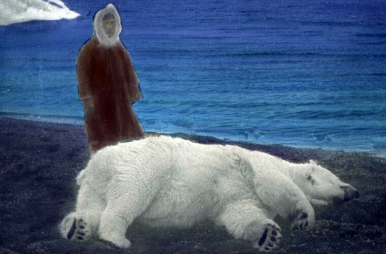 Ада и белый медведь