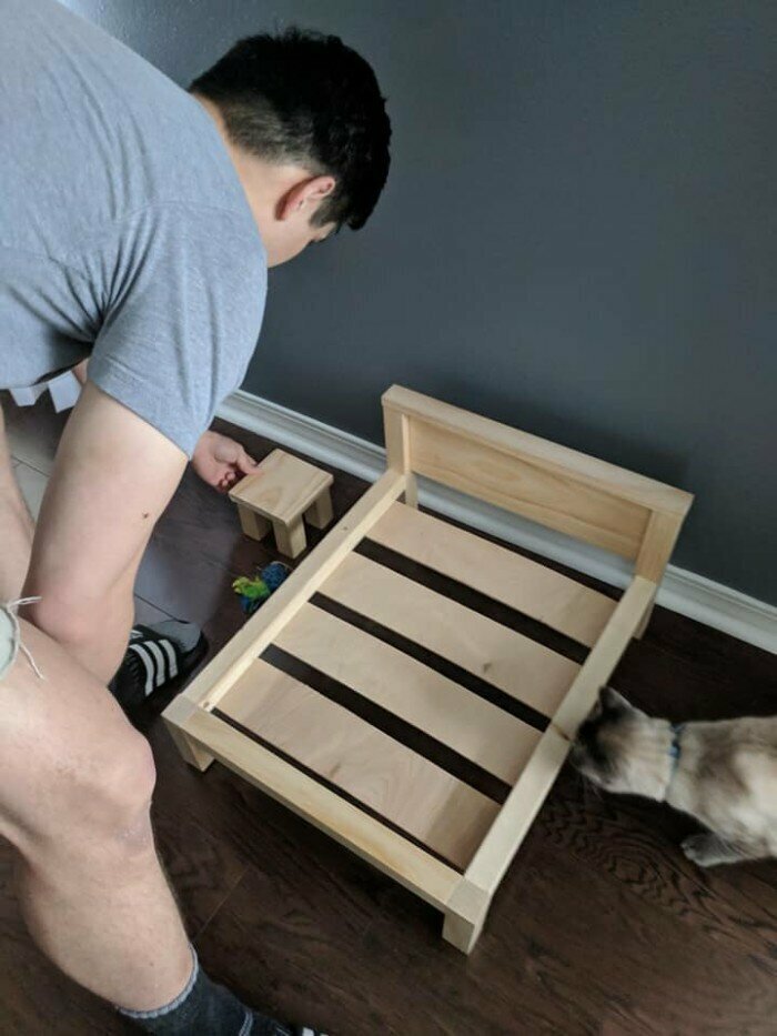 "Муж сказал, что собирается сделать новый каркас для кровати... Я сначала подумала, что это для нас - давно уже жду! Но нет, это было для кота"