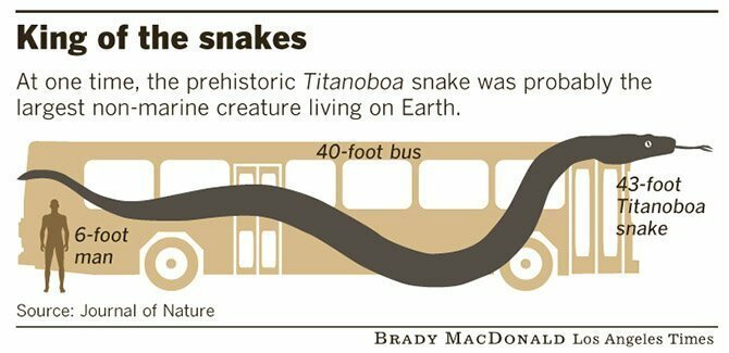 Титанобоа – змея-монстр
