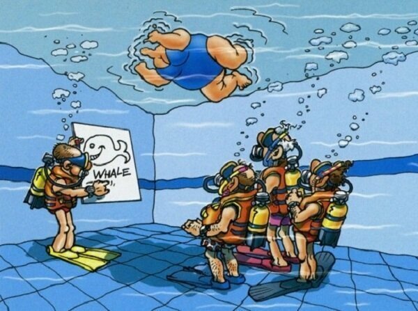 Дневники дайвера, Open Water Diver, часть 1