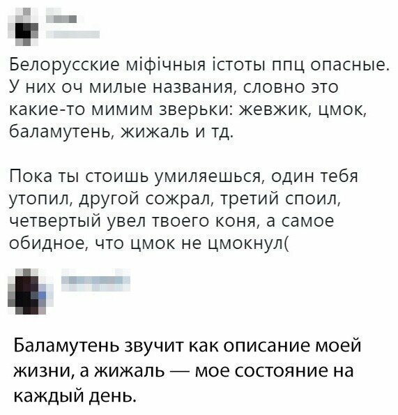 Скрины из социальных сетей