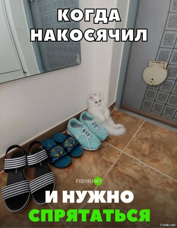 Мастер маскировки