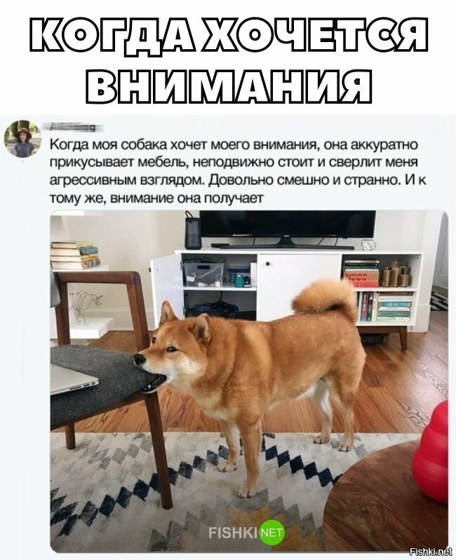 Когда хочется внимания