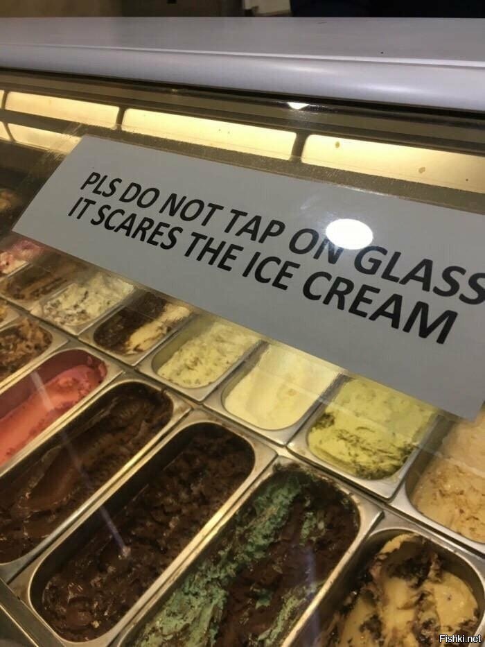 Пожалуйста, не стучите по стеклу, это пугает мороженку