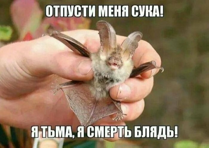 Для настроения