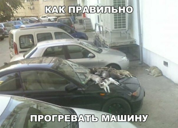 Картинки с надписями