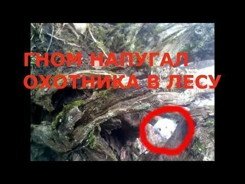 Гном напугал охотника в лесу горах урала утром 14 марта 2019 г 