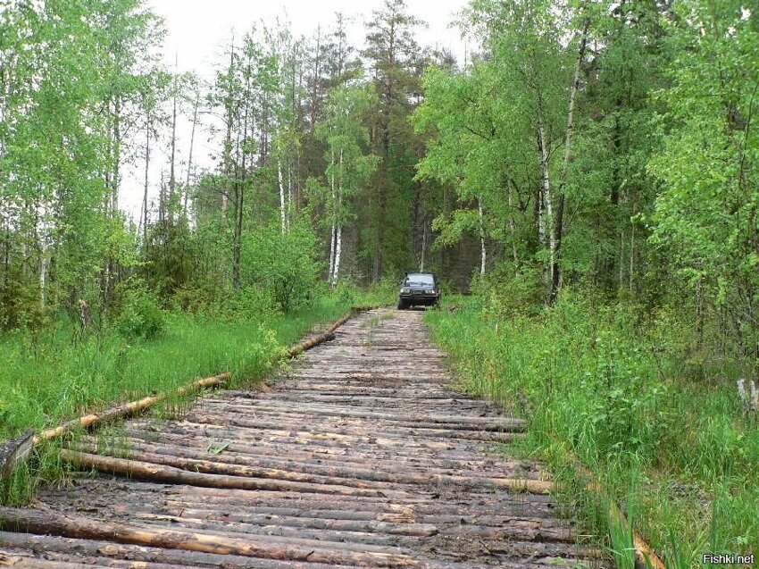 Дорога через лобовое стекло фото