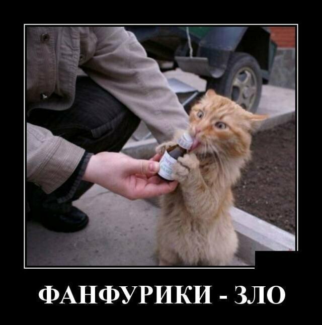 Образ кошки в демотиваторах от Водяной за 15 марта 2019