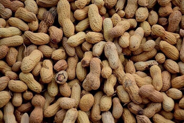 26. Арахис - это не орехи, хоть их так постоянно называют. Это бобовые - как чечевица, фасоль и т. д.