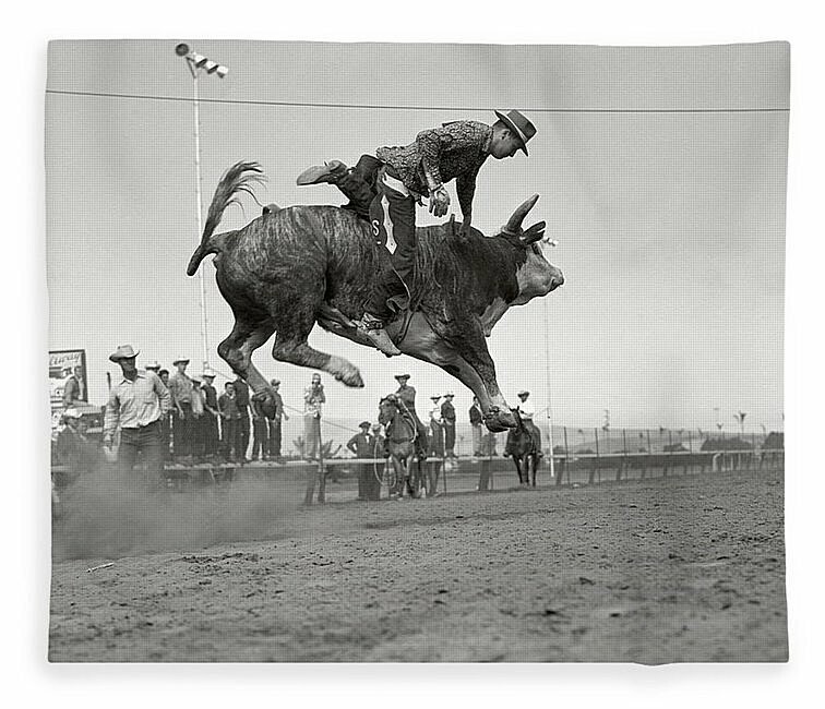 Родео на диком быке, 1950 годы 