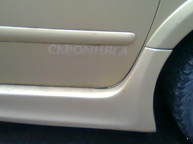 Автовсячина