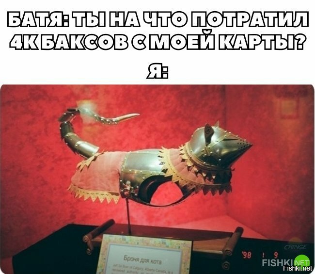 Куда же потратить деньги