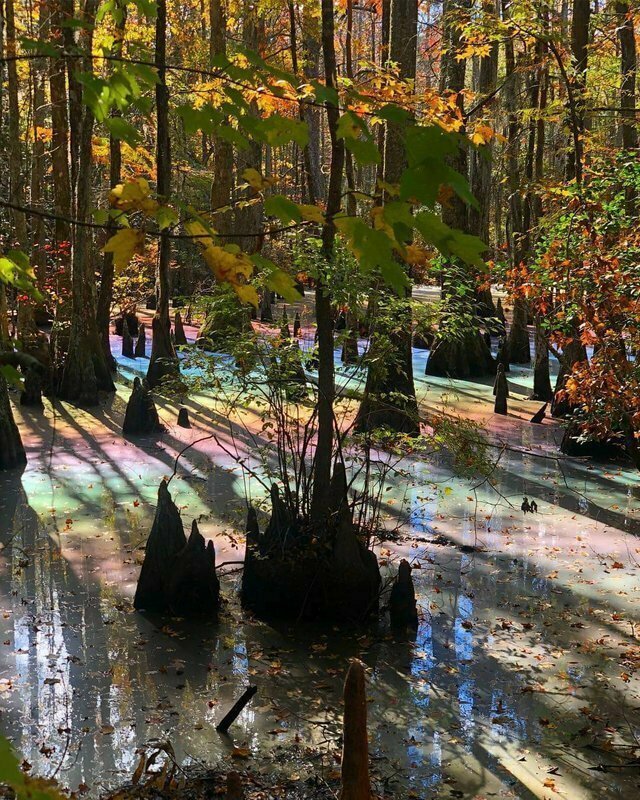 12. Озеро в лесу с радугой