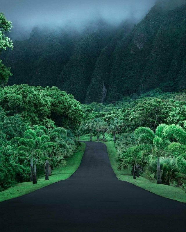 6. Дорога на Гавайях рано утром