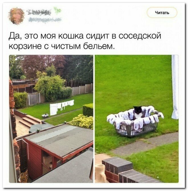 Прикольные и смешные картинки