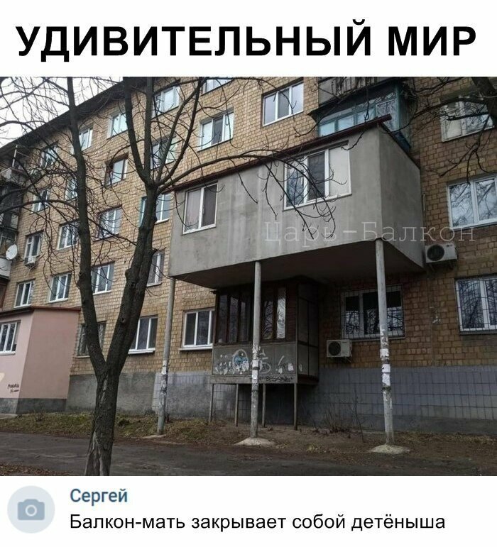 Скрины из социальных сетей