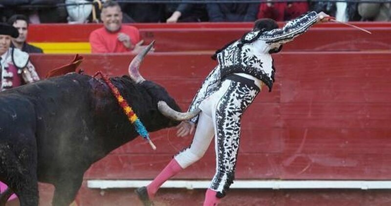 Испанский матадор пострадал от разъяренного быка