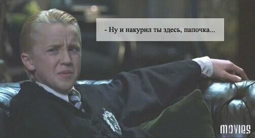 30 приколов про серию Поттерианы